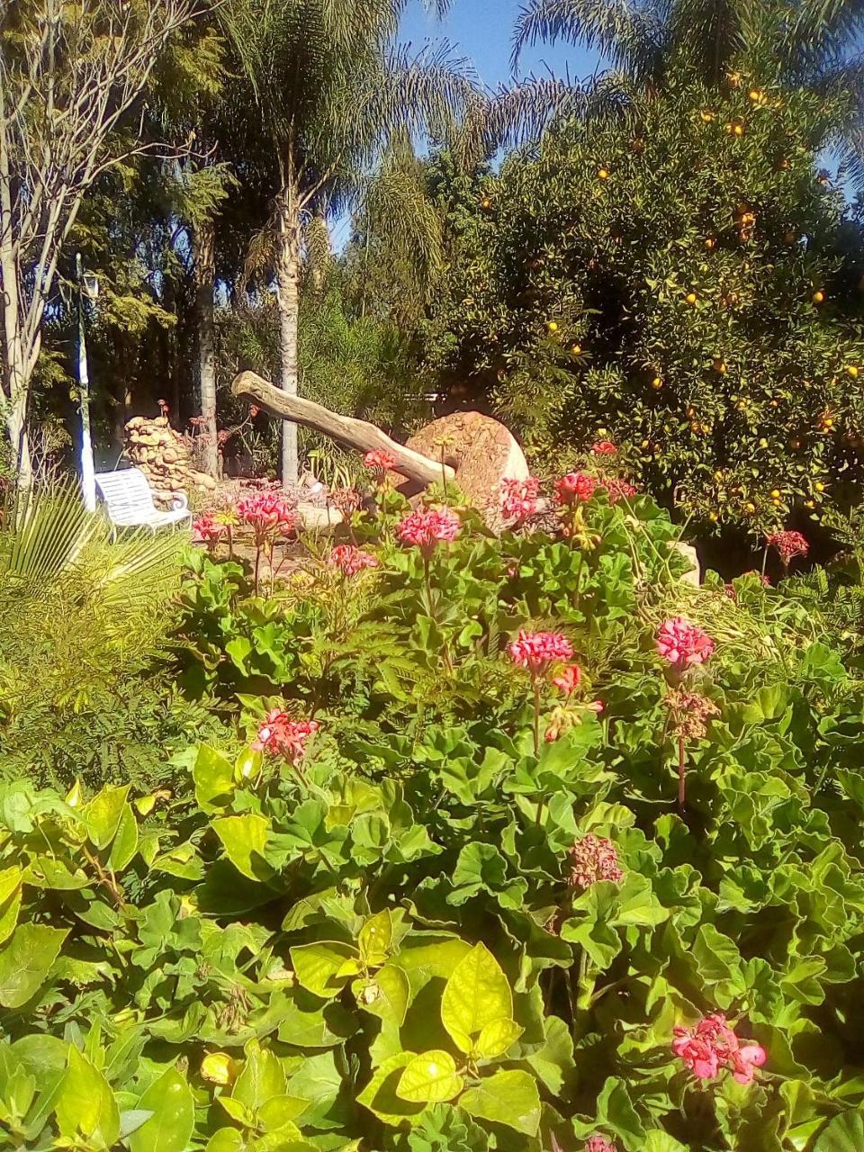 Aït el Rhazi Hotel Riad L' Arganier D' Or מראה חיצוני תמונה